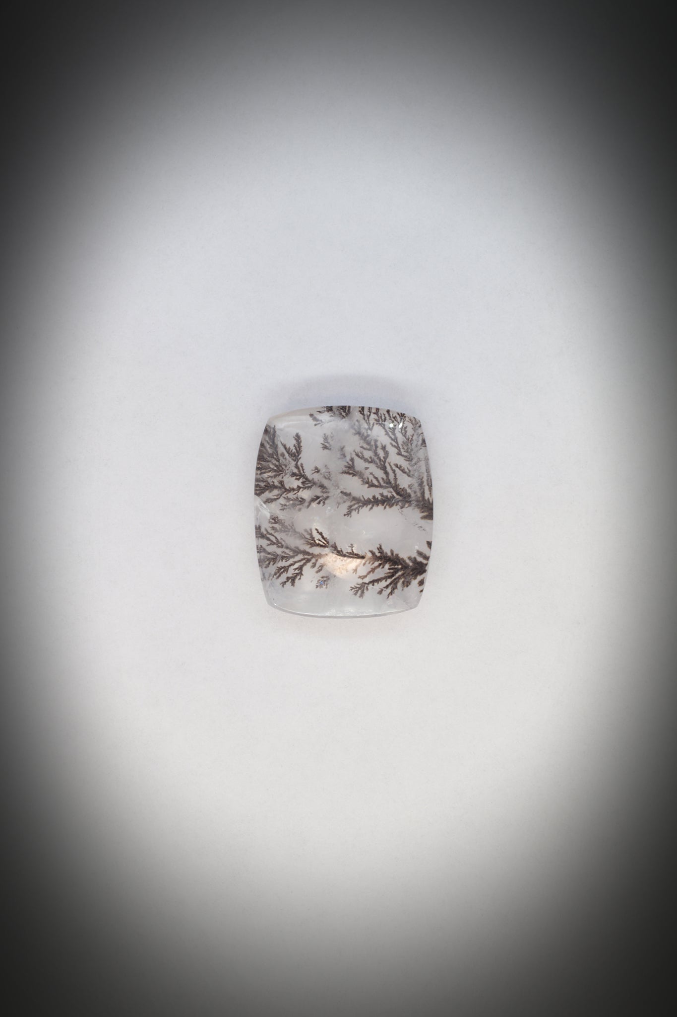 Dentritic Agate_2