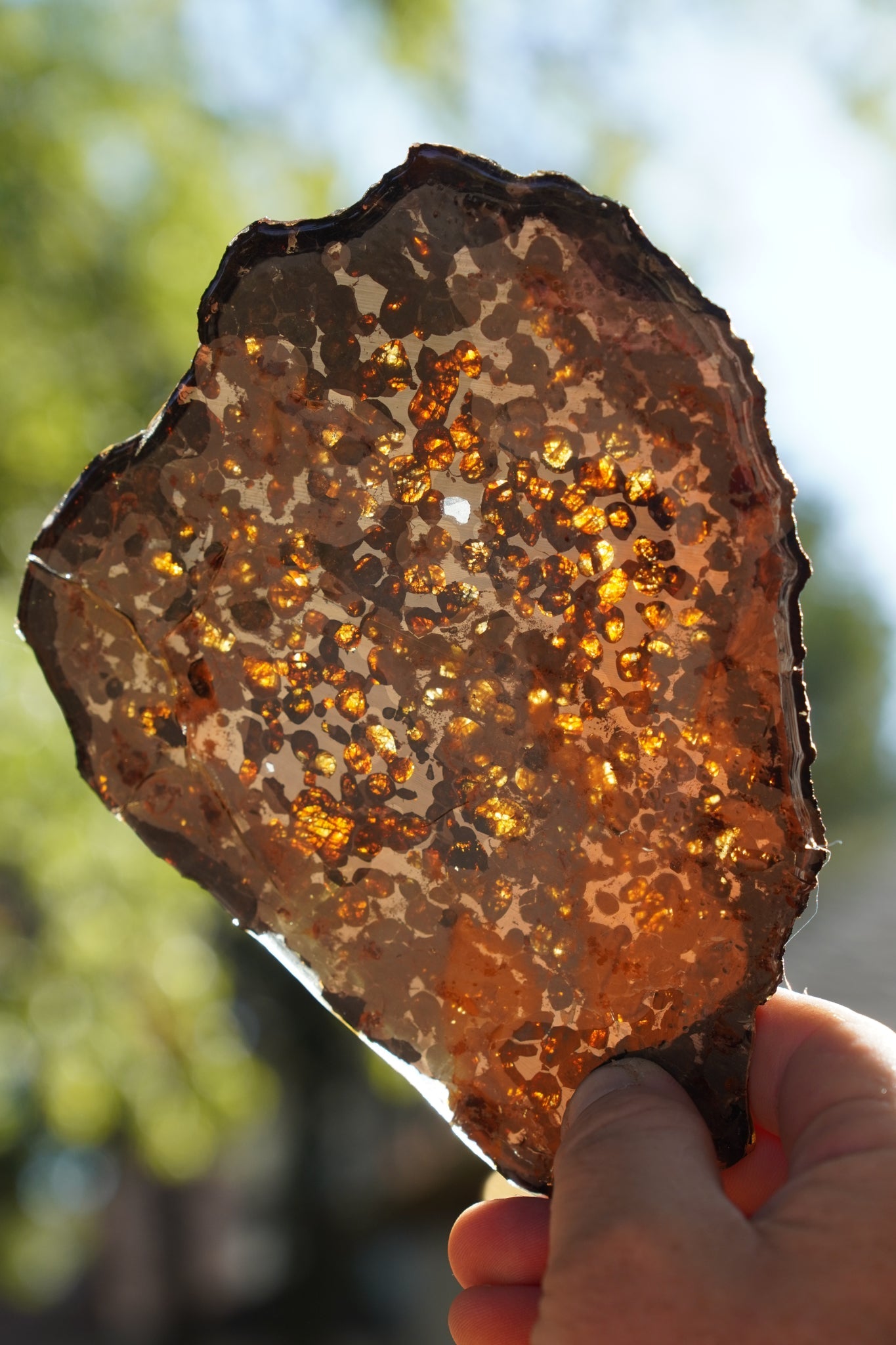 Pallasite Meteortie_4