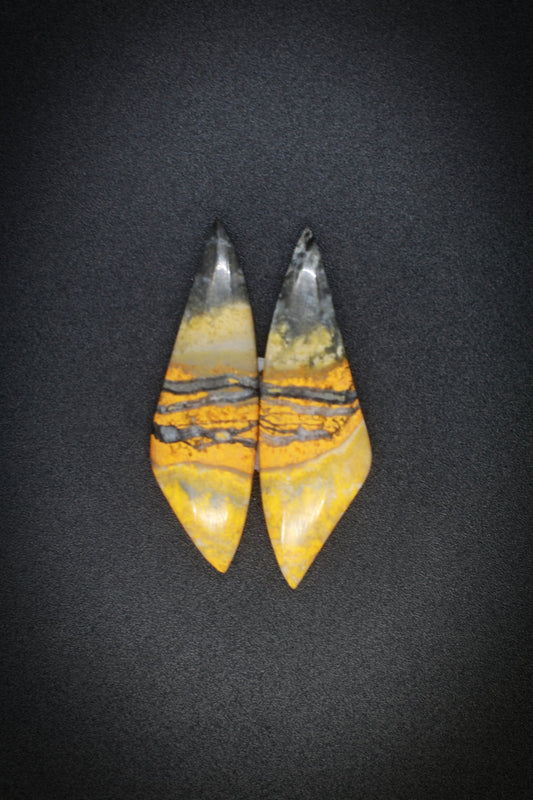 Bumble Bee Jasper Pair_2