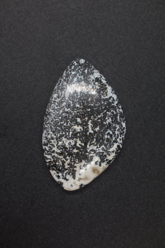 Dendritic Milky Quartz Fish Cab