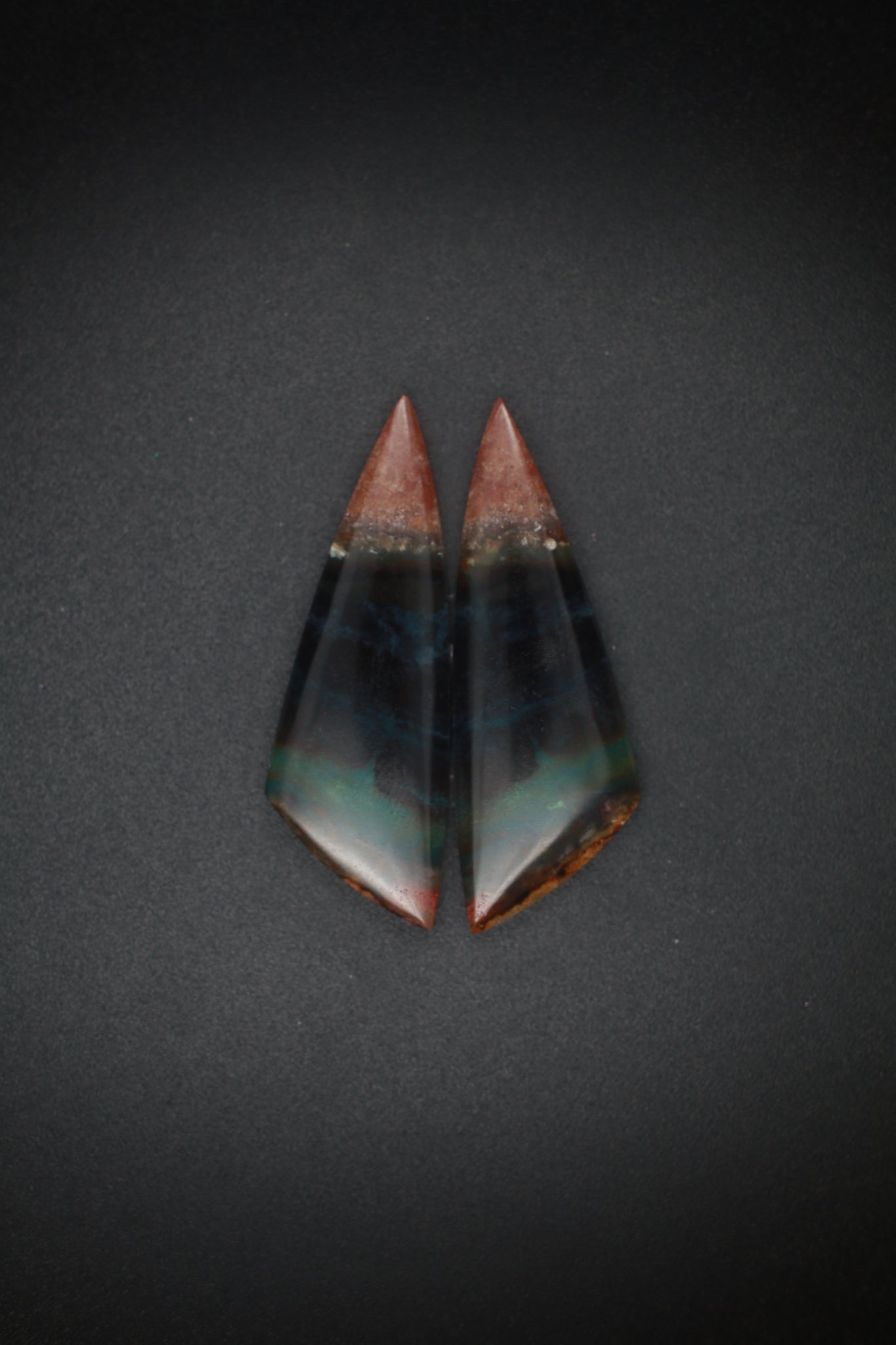 Dark Petrified Wood Long Sharp Triangle Cabochon