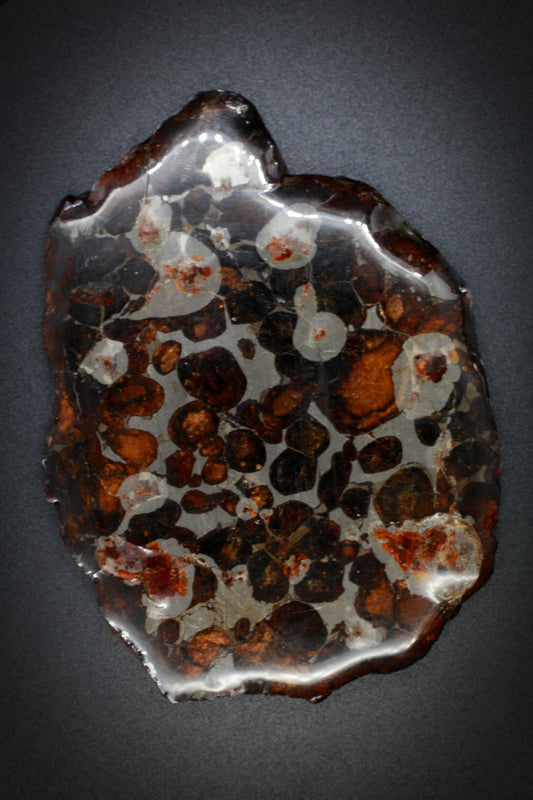 Pallasite Meteorite_1