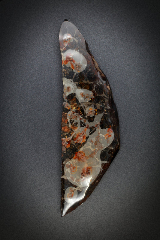 Pallasite Meteorite_2