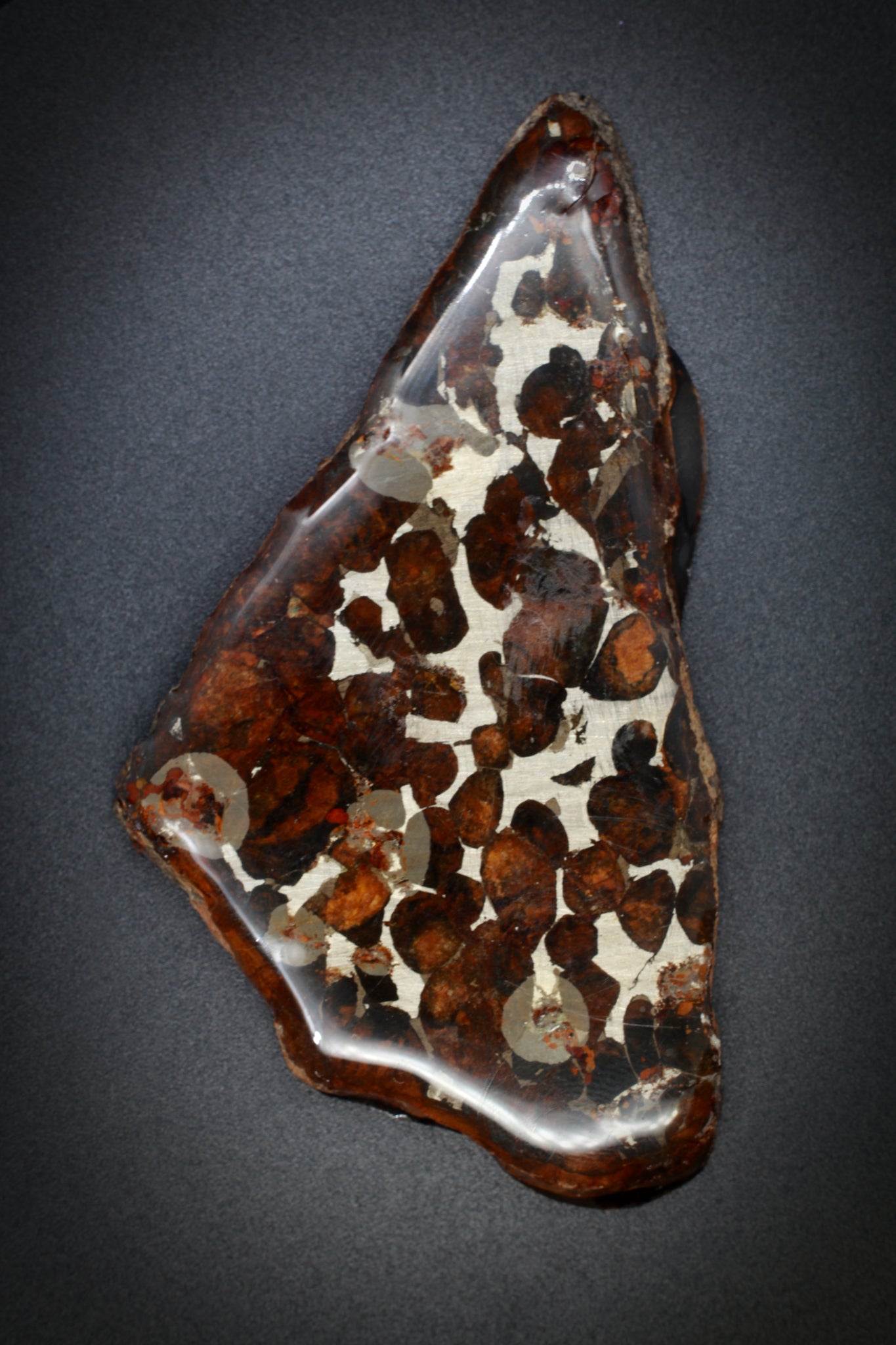 Pallasite Meteorite_3