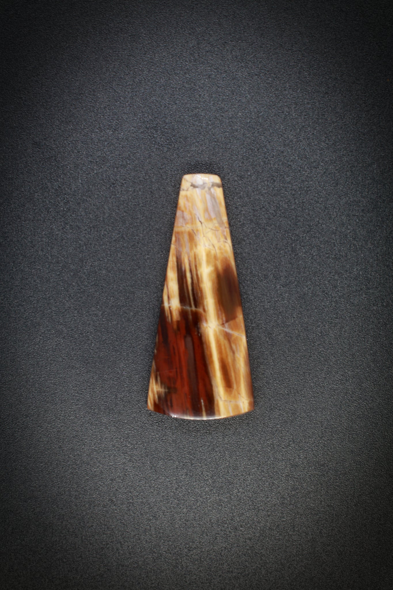 Sonoran Petrified Wood_2