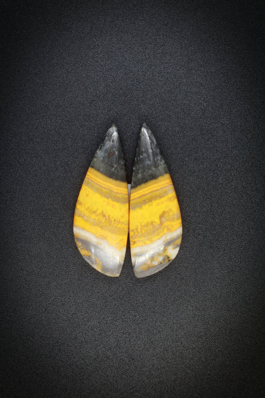 Bumble Bee Jasper Pair_1