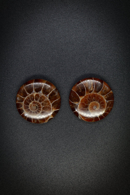 Ammonite Pair Round from Madagascar_1