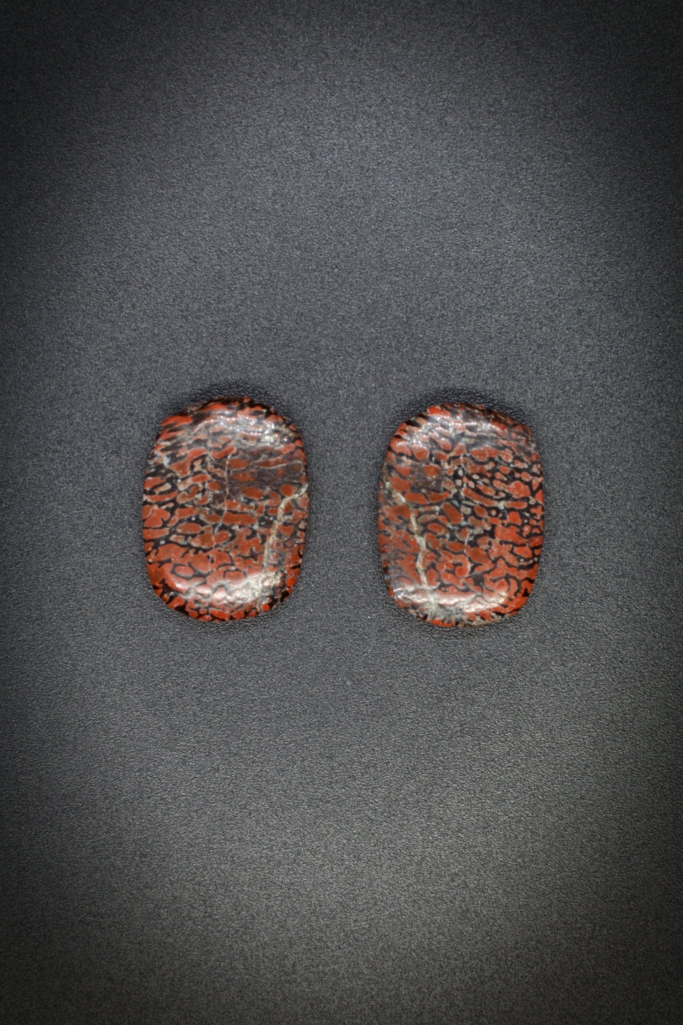 Dino Bone Pair_3