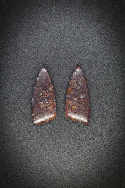 Dino Bone Pair_4