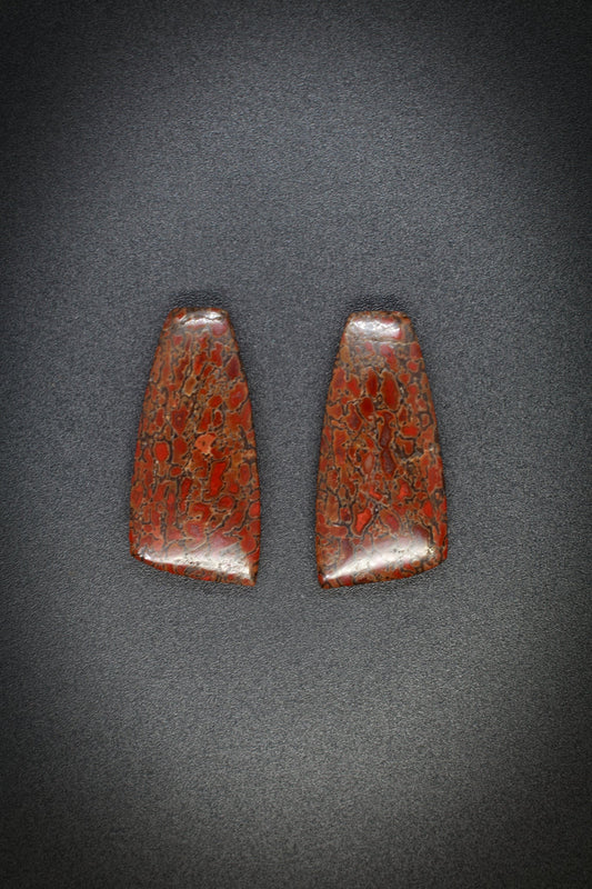 Dino Bone Pair_5