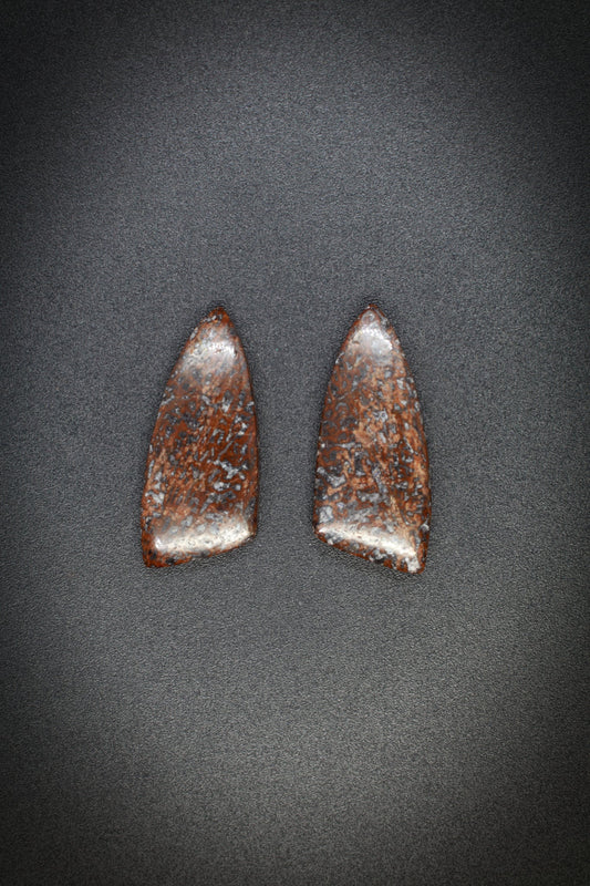 Dino Bone Pair_6