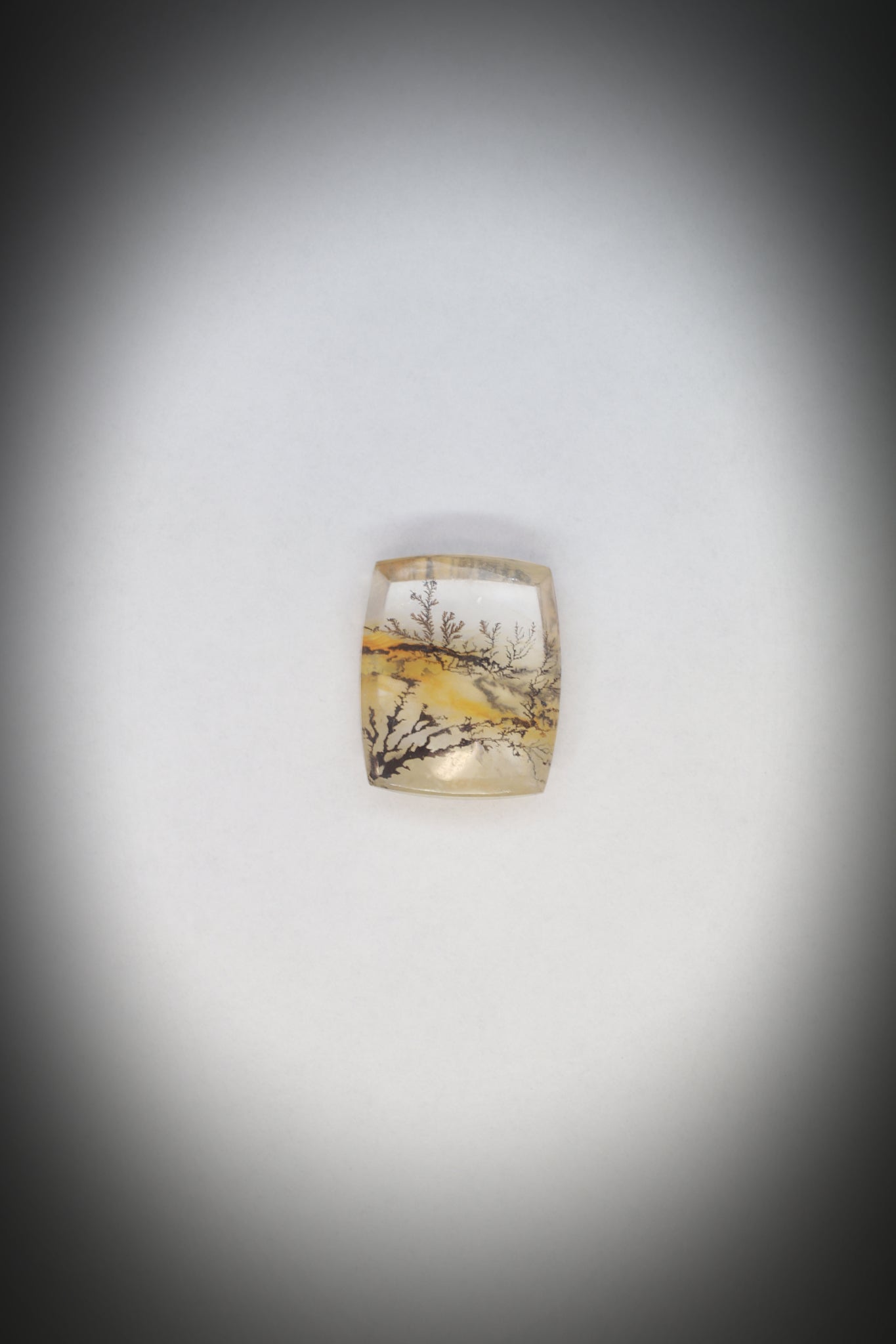 Dentritic Agate_6