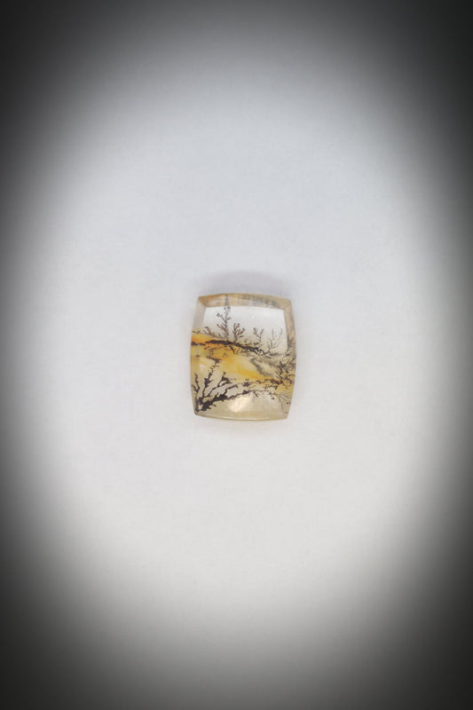 Dentritic Agate_6