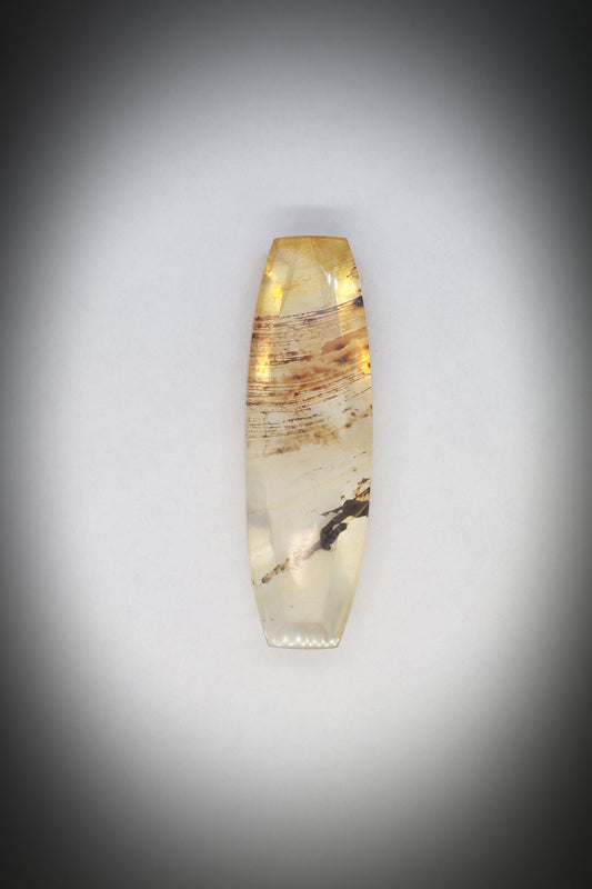 Dentritic Agate_7