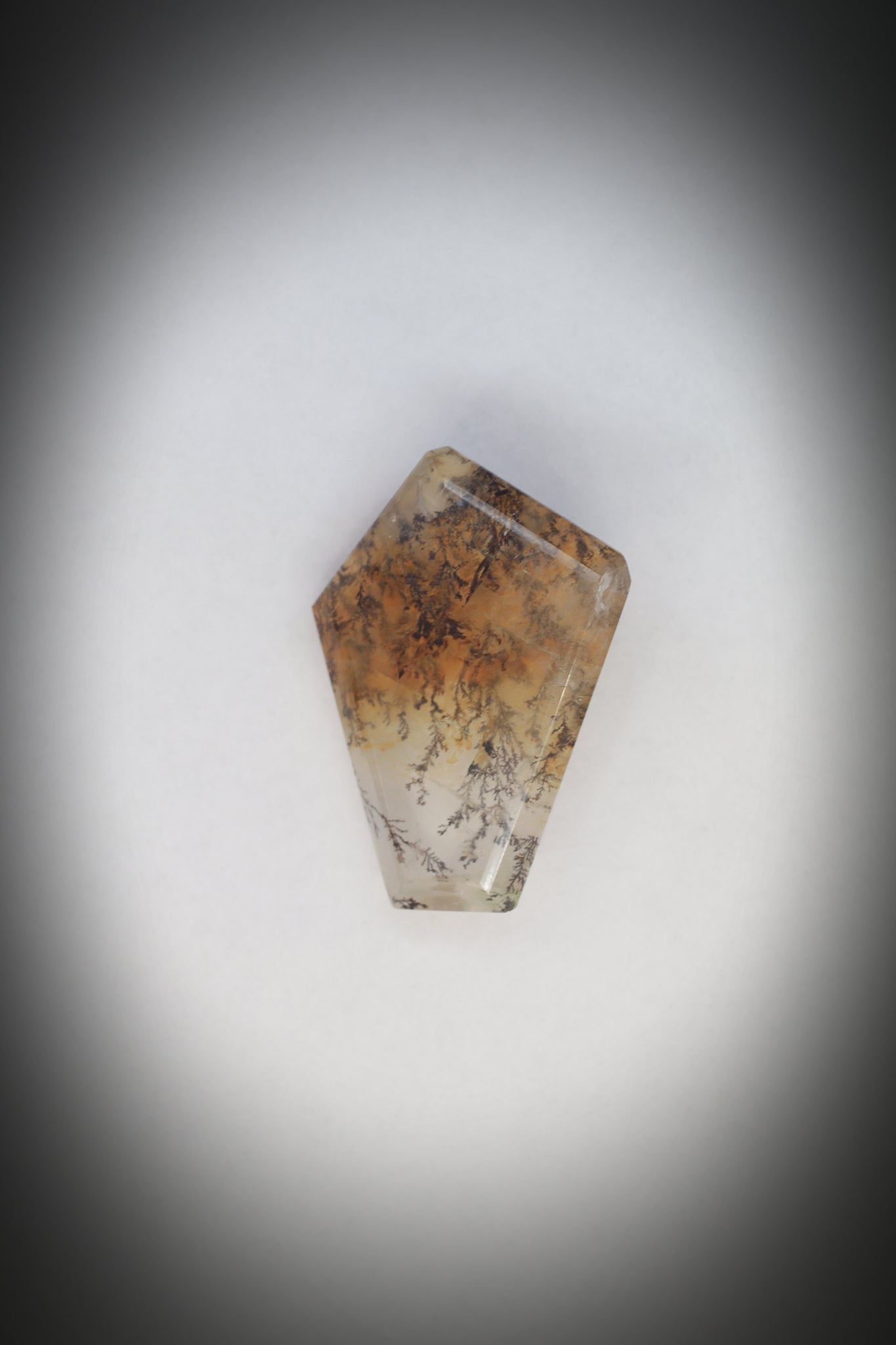 Dentritic Agate_11