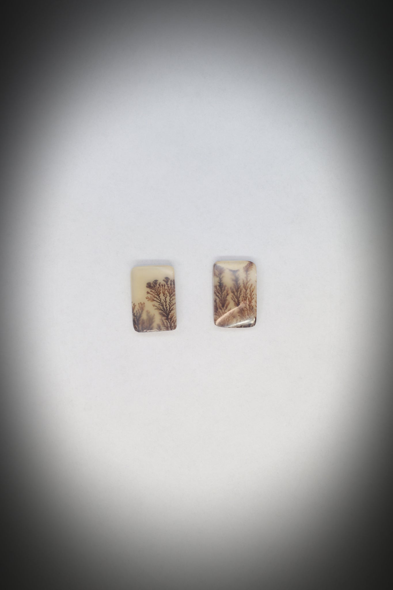 Dentritic Agate Pair_2