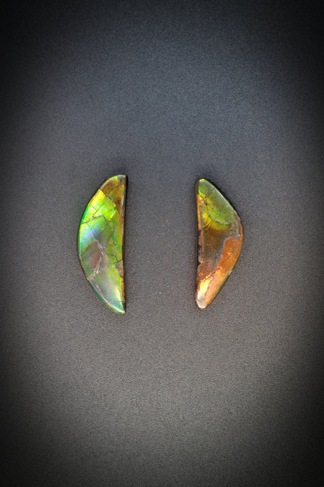 Ammolite Pair_1