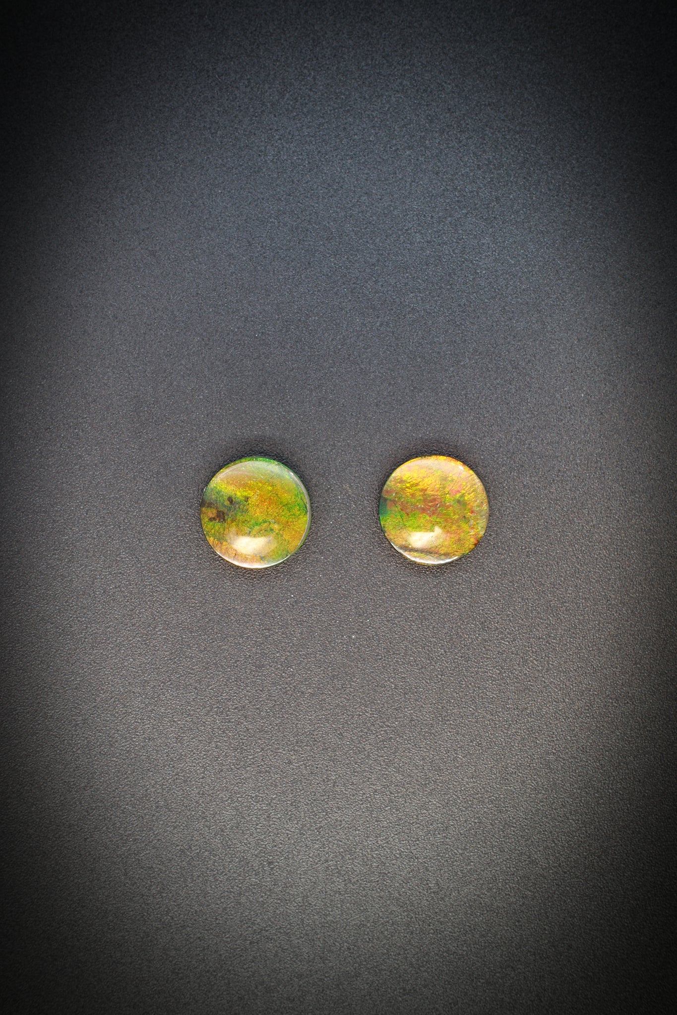 Ammolite Pair_2