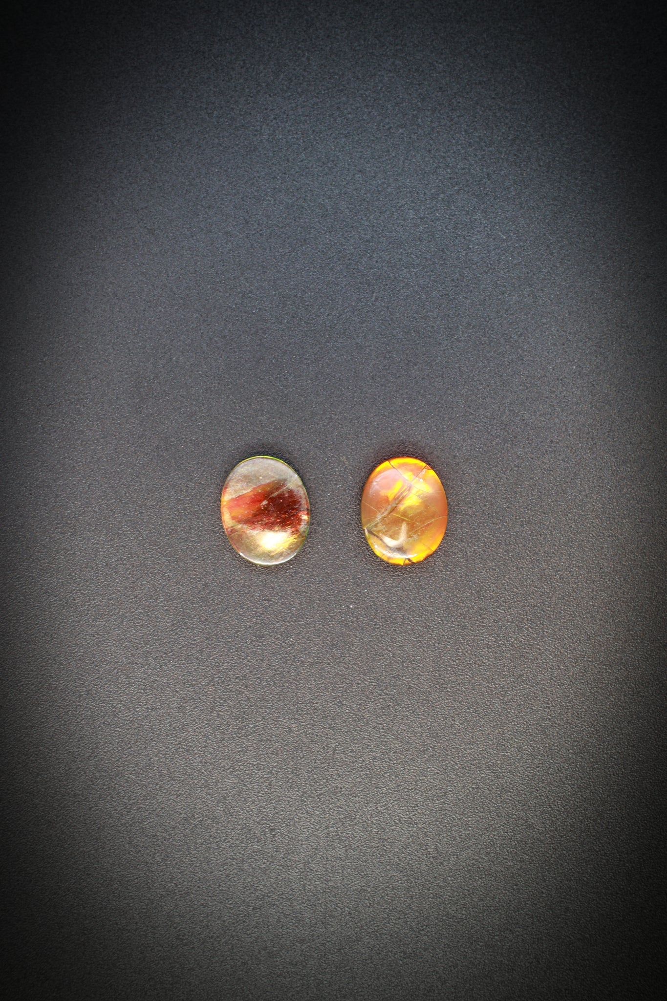 Ammolite Pair_3