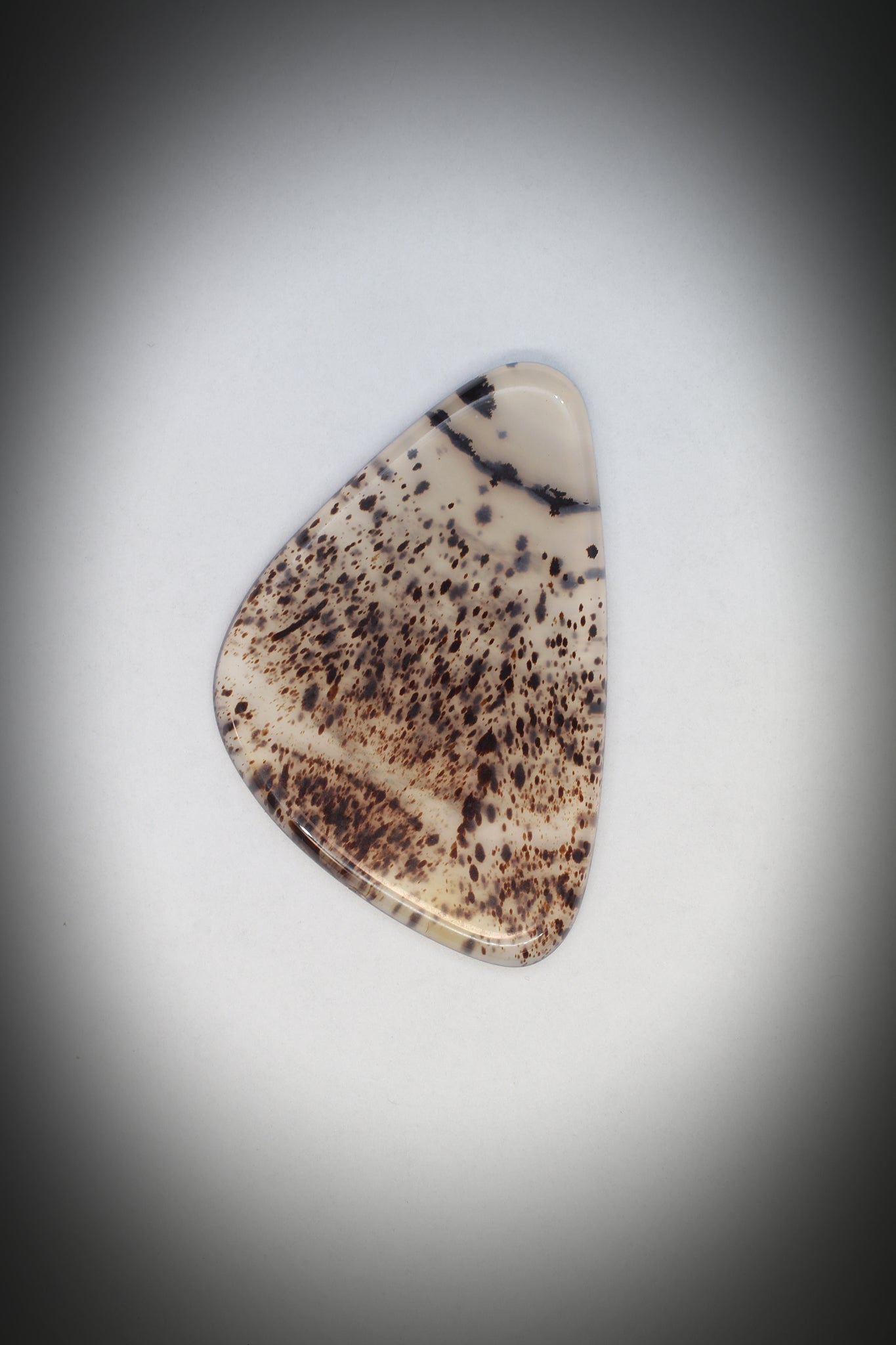 Montana Agate Cabochon_1