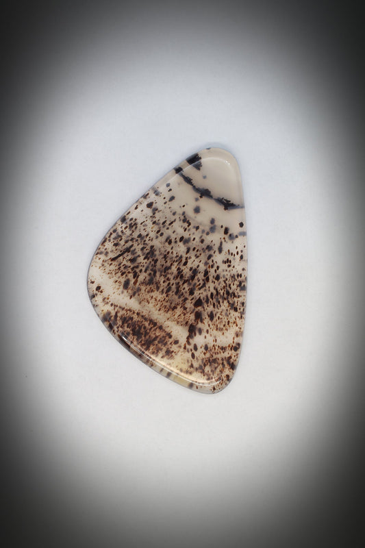 Montana Agate Cabochon_1