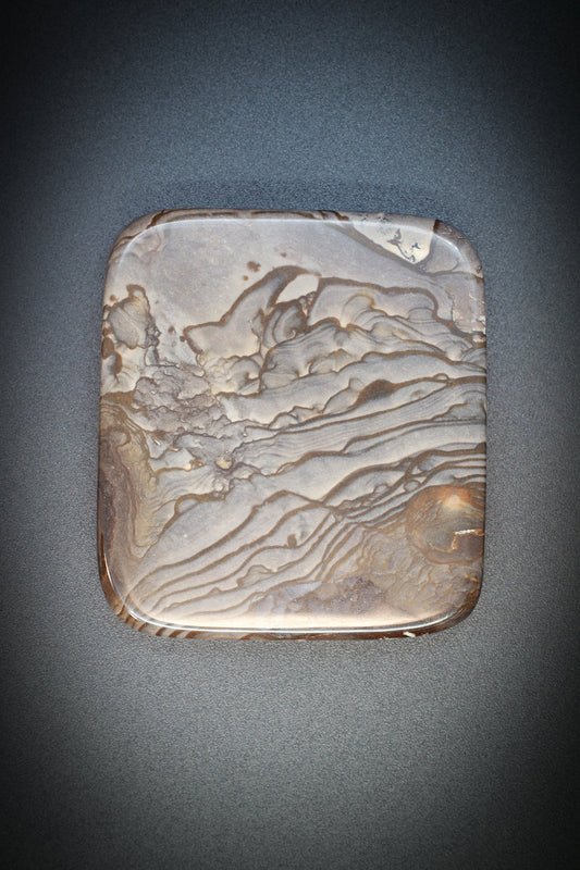 Deschute Picture Jasper