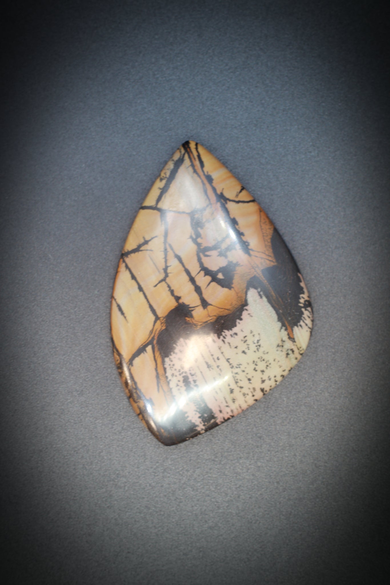 Indian Mountain Painted Picture Jasper