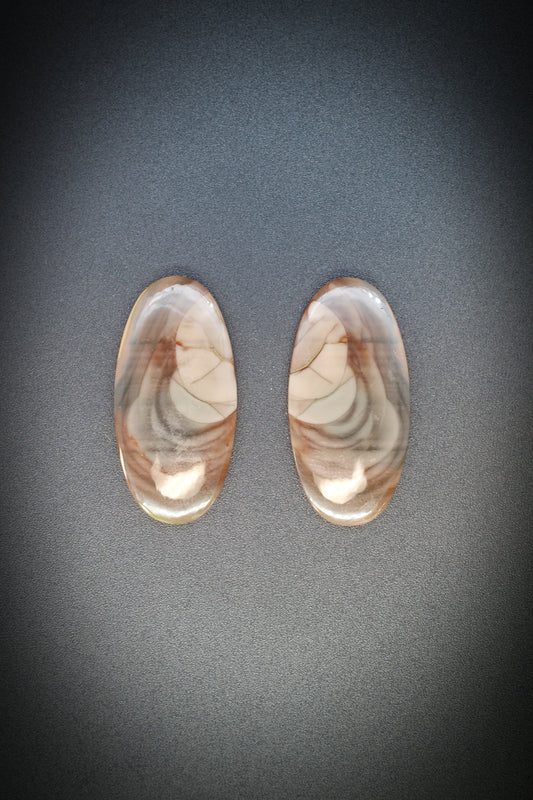 Imperial Jasper Earring Pair