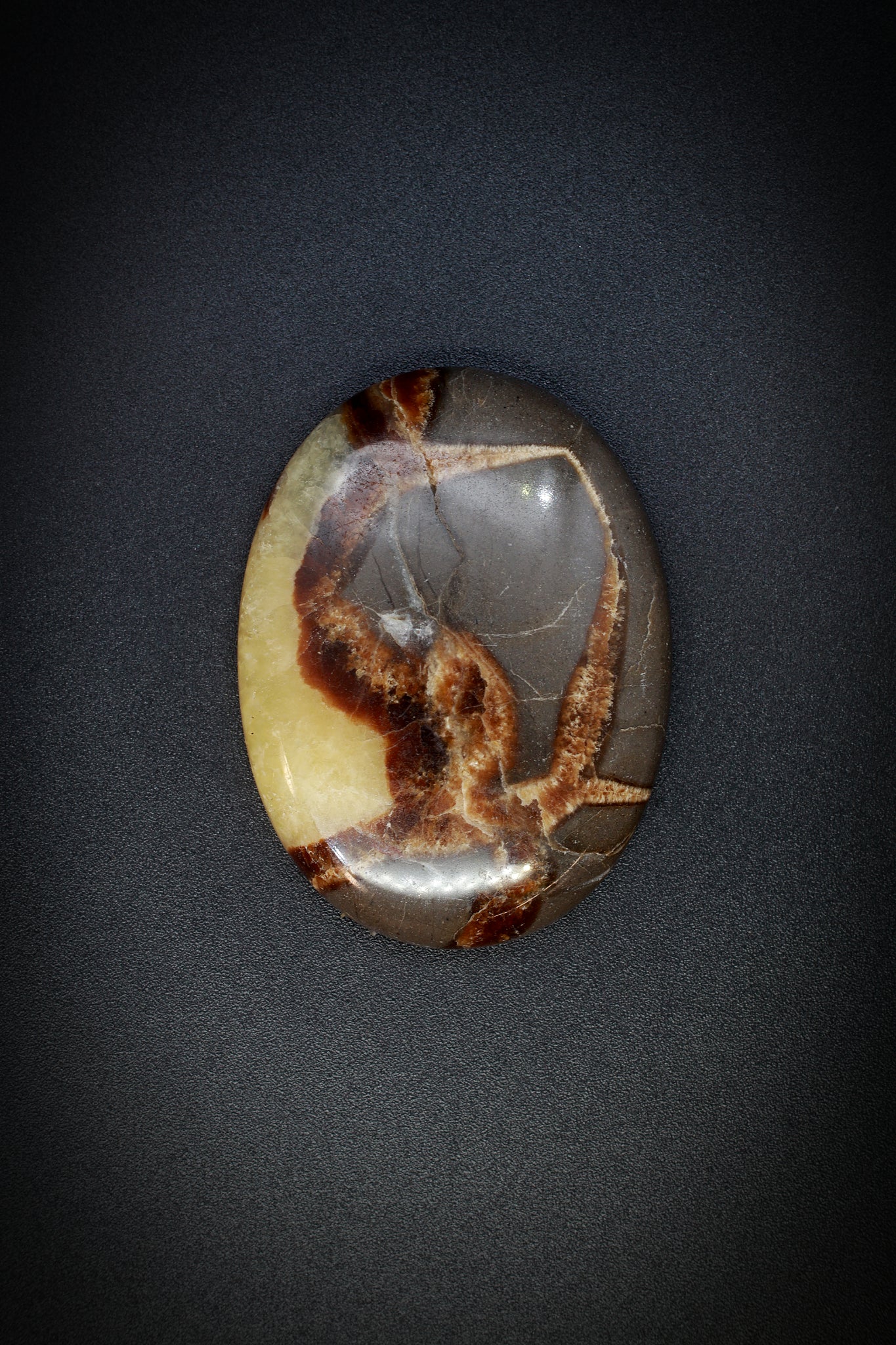 Simbersite Septarian