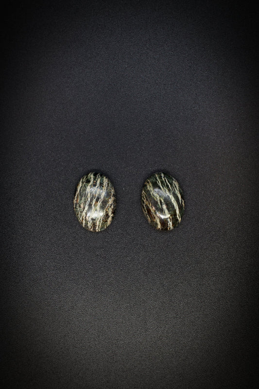 Swiss Opal Zebra Jasper Pair_3